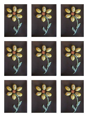 my-food-flower-art